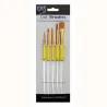 Set di spazzole PME, 5 pezzi
