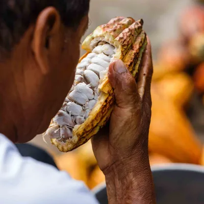 Elmer, copertura di cioccolato Choba Choba 64% prodotta equamente per praline pregiate