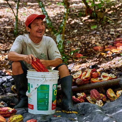 Elmer, copertura di cioccolato Choba Choba 64% prodotta equamente per praline pregiate