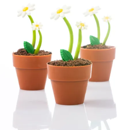 Chocolate flower pot