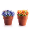 Vaso da fiori di cioccolato