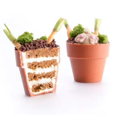 Chocolate flower pot