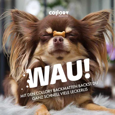 Tapis de cuisson pour mini friandises pour chiens Pattes