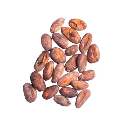 Cocoa beans from Bali