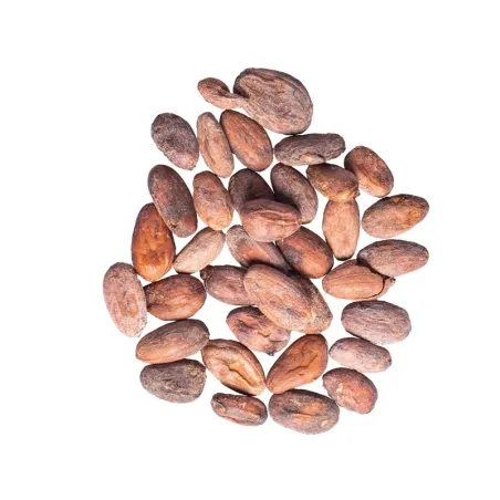 Cocoa beans from Colombia