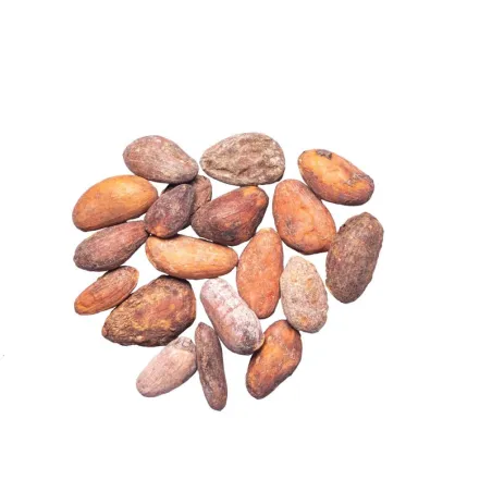 Cocoa beans from Nicaragua