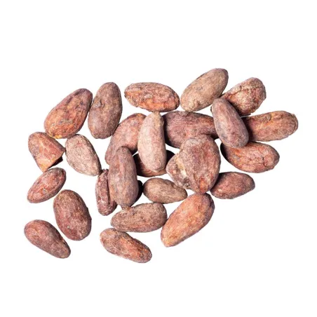 Fèves de cacao de Papouasie occidentale