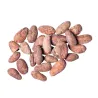 Fèves de cacao de Papouasie occidentale