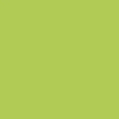 Beurre de cacao vert citron pour pralines et figurines en chocolat