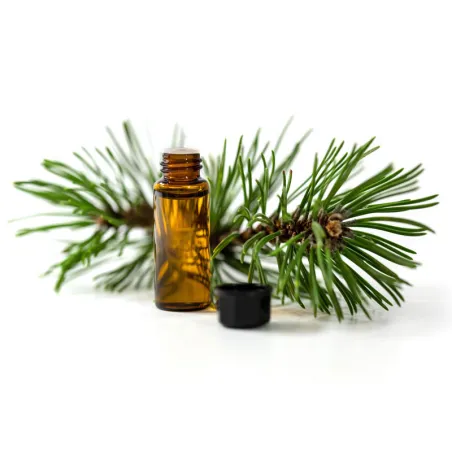 Huile d'aiguilles de pin 15 g