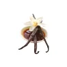 Extrait de vanille avec graines, 50 ml