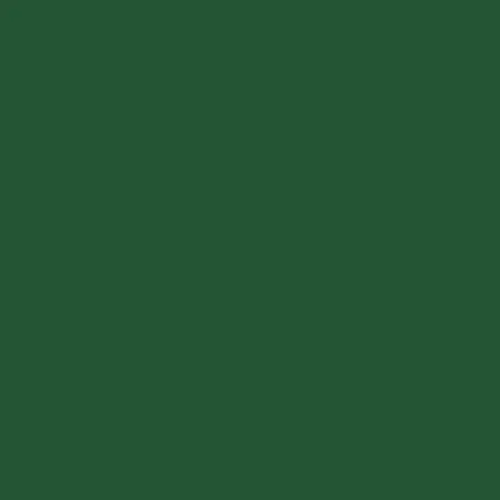 Cocoa butter forest green for pralines and chocolate figures