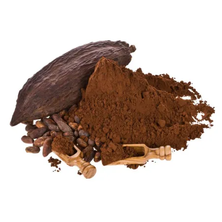 Poudre de cacao premium