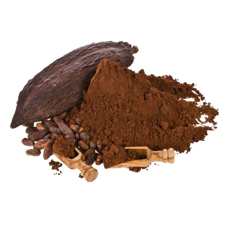 Poudre de cacao premium