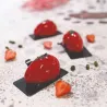 Stampo in silicone Canederli