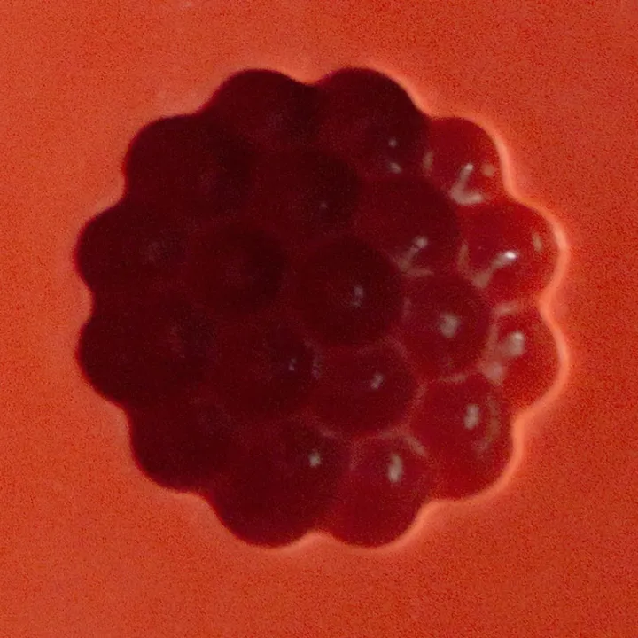 Giessform für Gelee Brombeeren, 24 Stück aus Silikon und Kunststoff