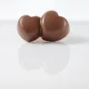Chocolate mold double heart 20 chocolates
