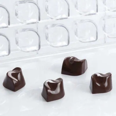 Praline mold Flow 24 chocolates