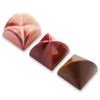 Praline mold safe 28 chocolates for noble chocolates