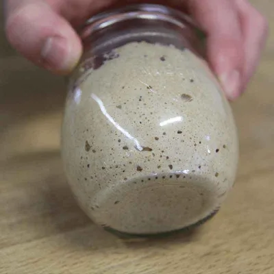 Sauerteigstarter 160 g für Weizen- und Roggensauerteig