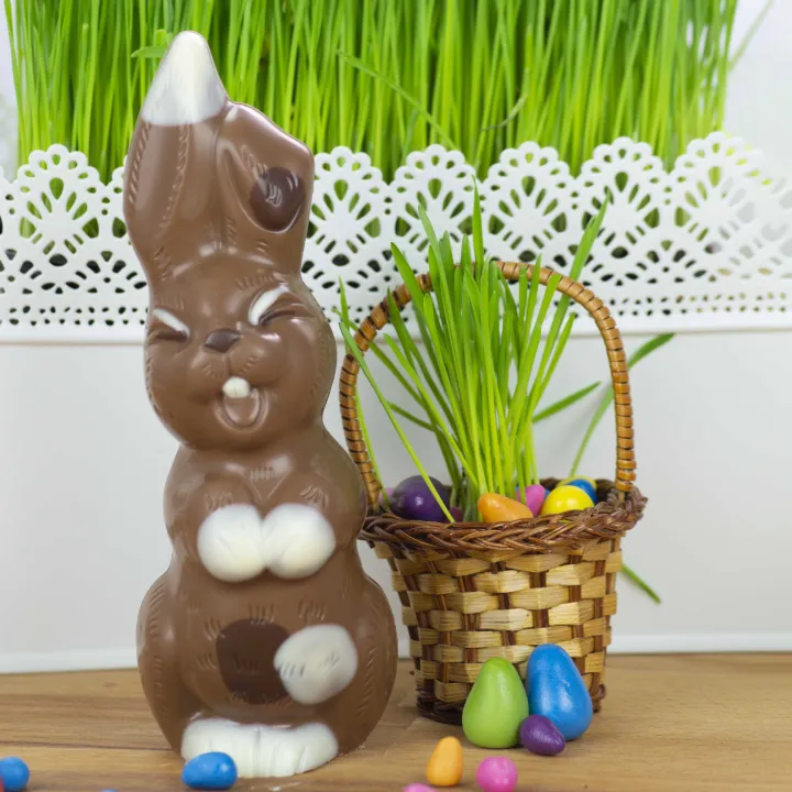 Schokoladenform Lachhase für süsse Schokoladenfiguren
