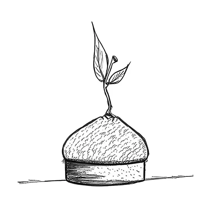 Silikonform Zitronenpatisserie