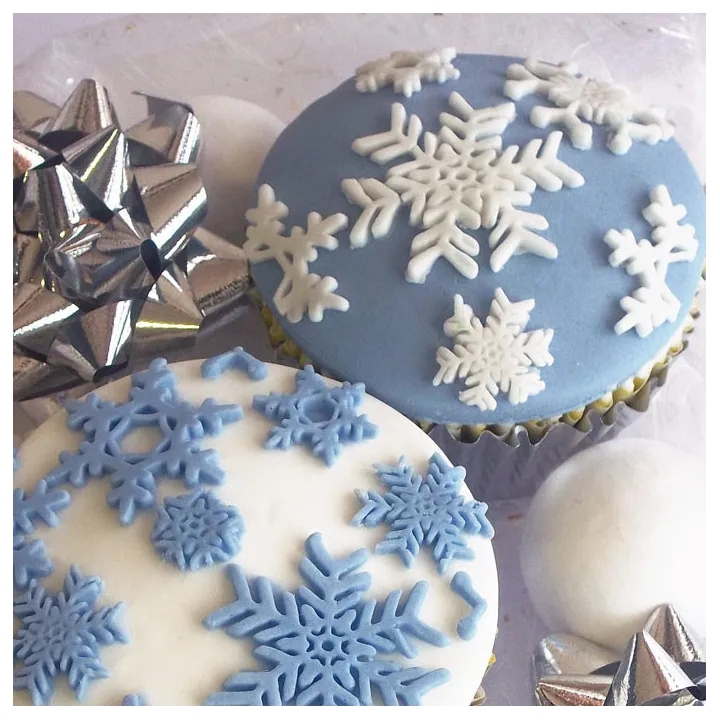 Silicone embosser snow star