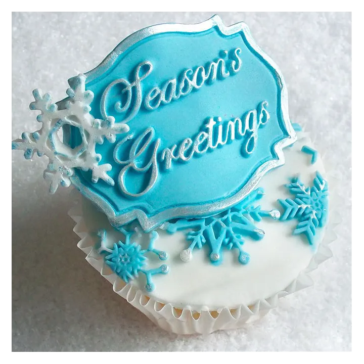 Silicone embosser snow star