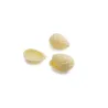 Sweet Hollow Shape Chocolates Pine Cone White