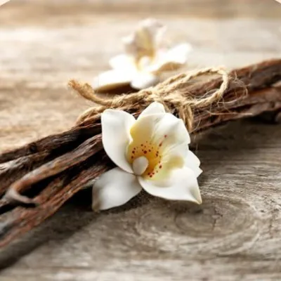 RUF Gourmet Vanille-Mühle 7,5 g – Tahiti-Vanille frisch gemahlen | miniSchoggi
