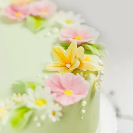 Cake decoration course in Zurich Adliswil – 23.12.2026