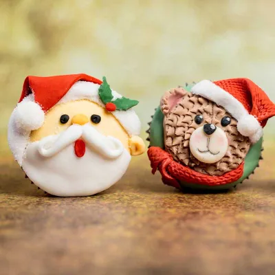 Cours de cupcakes d'hiver – 25.11.2026