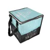 Cooler bag with base 25 x 22 x 15 cm for ice-cold transportation