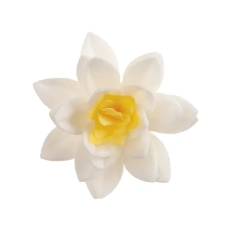 Fleurs blanches en papier à manger Ø 7 cm, 10 pièces