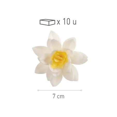 Fiori di carta commestibili bianchi Ø 7 cm, 10 pezzi