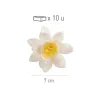 Weisse Blüten aus Esspapier Ø 7 cm, 10 Stück
