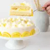 RUF Scorza di limone bio 5 g – scorza di limone liofilizzata per torte e pasticceria | miniSchoggi