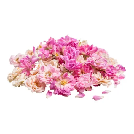 Gefriergetrocknete mini Rosen Weiss & Pink