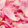 Gefriergetrocknete Rosenblütenblätter