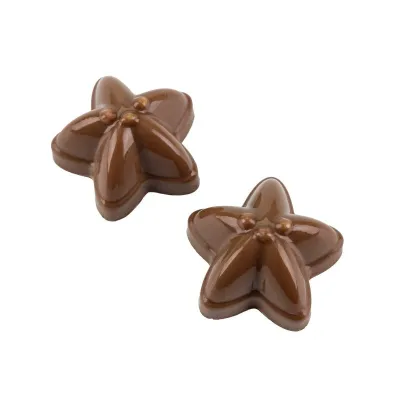 Stampo pralinato a stella marina, 20 pezzi