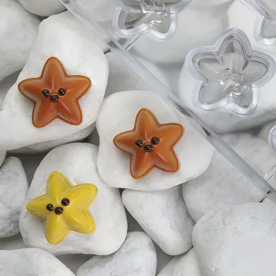 Stampo pralinato a stella marina, 20 pezzi