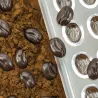 Mini stampo per praline ai chicchi di caffè, 80 pezzi