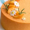 Decora Velvet spray Orange, 100 g