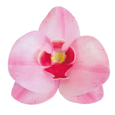 Orchideen aus Esspapier Rosa, 10 Stück
