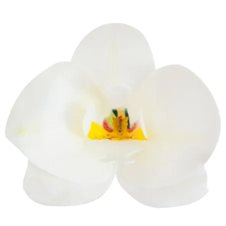White edible paper orchids, 10 pieces