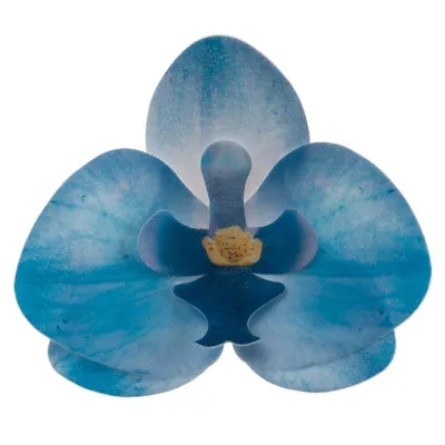 Orchideen aus Esspapier Hellblau, 10 Stück