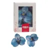 Orchideen aus Esspapier Hellblau, 10 Stück