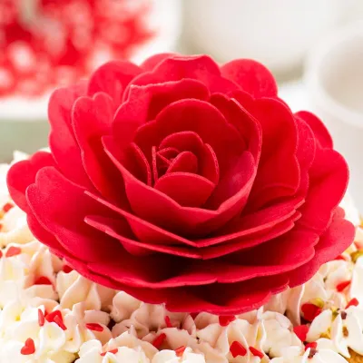 Riesige rote Rose aus Esspapier, 12.5 x 12.5 cm
