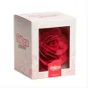 Riesige rote Rose aus Esspapier, 12.5 x 12.5 cm