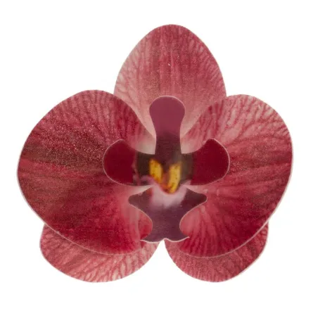 Orchidee di carta commestibili rosse, 10 pezzi